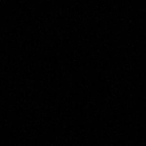 Meet your Posher, Angelica